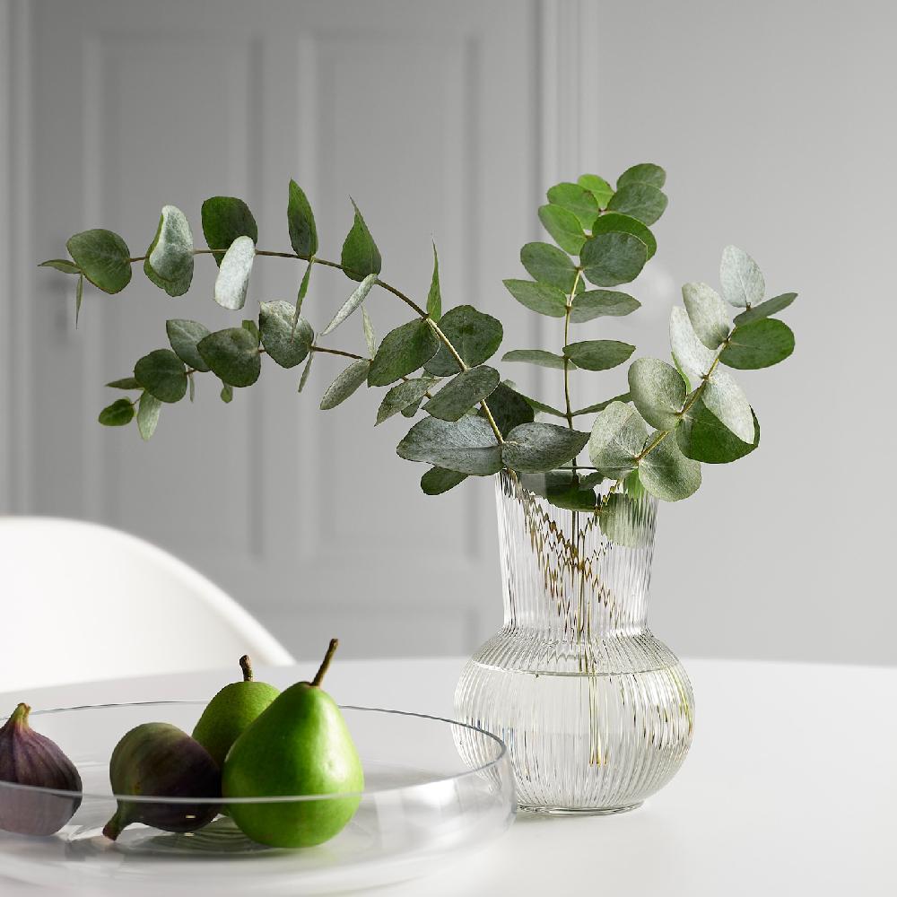IKEA PÅDRAG Vase Klarglas 17 cm Vierteljährliche Förderung