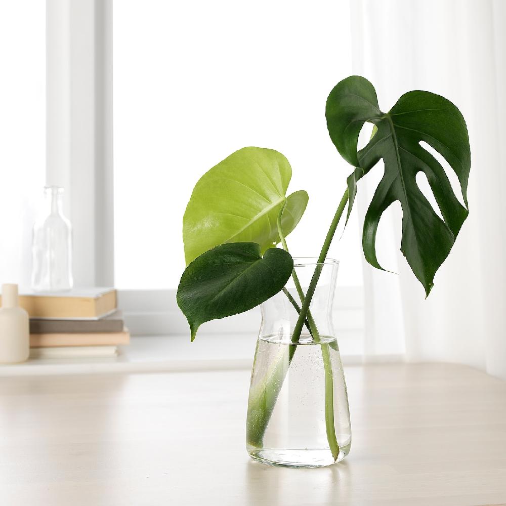 IKEA KARAFF Karaffe Klarglas 1.0 l Super Rabatt