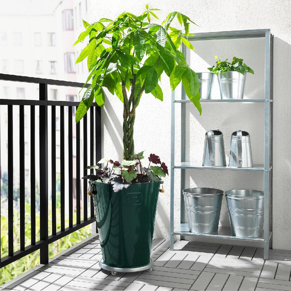 IKEA PACHIRA AQUATICA Pflanze Glückskastanie 27 cm 50% Rabatt für begrenzte Zeit