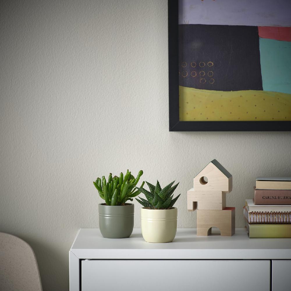 IKEA SUCCULENT Pflanze mit Übertopf Sukkulente versch. Farben 6 cm Rabatte dieses Monats