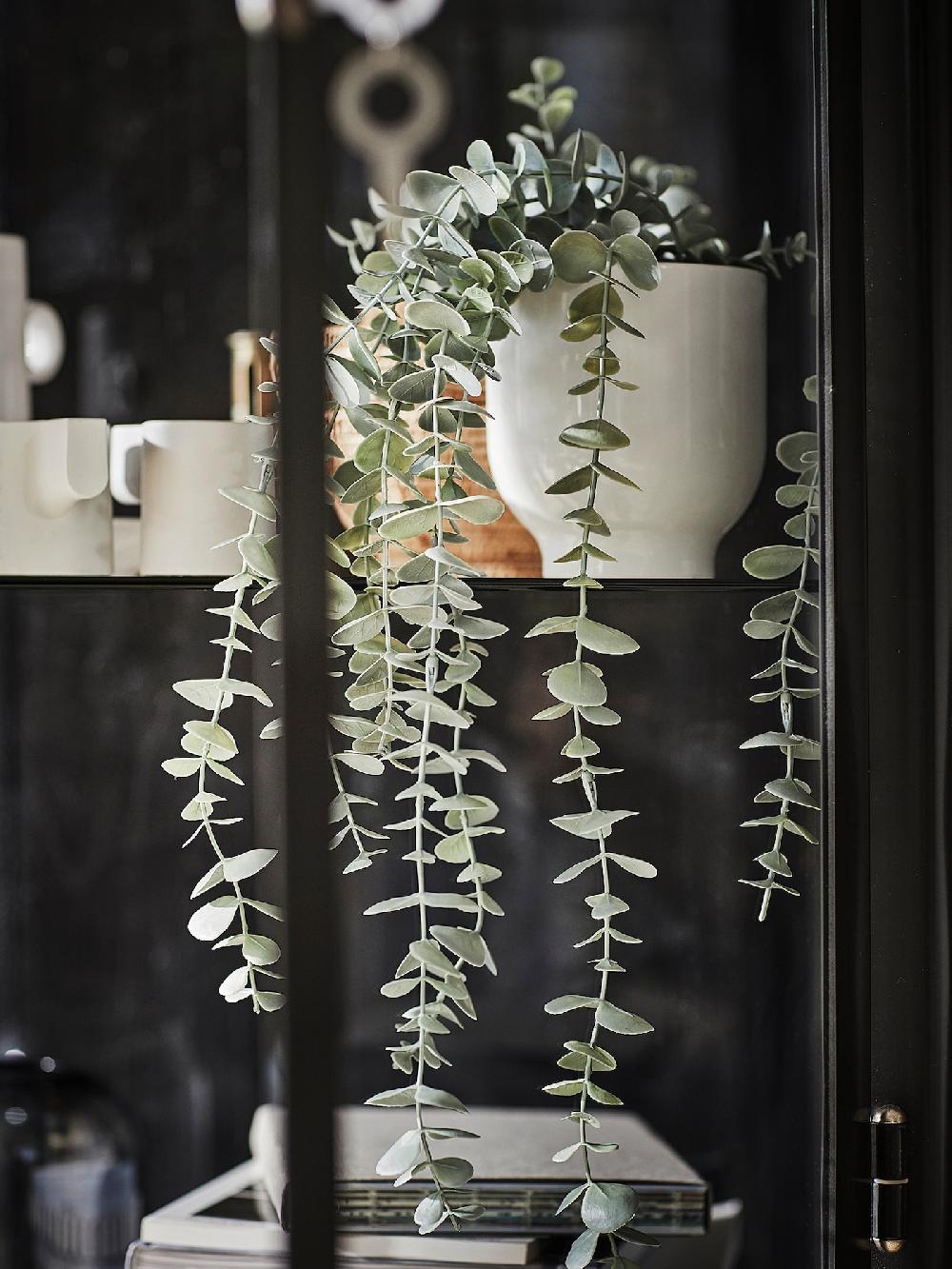 IKEA FEJKA Topfpflanze künstlich drinnen/draußen hängend/Eukalyptus 9 cm Online