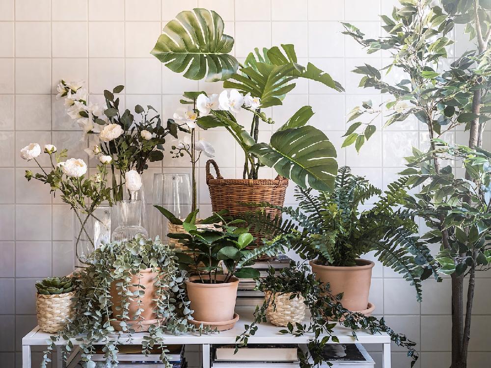 IKEA FEJKA Topfpflanze künstlich drinnen/draußen hängend/Eukalyptus 9 cm Online
