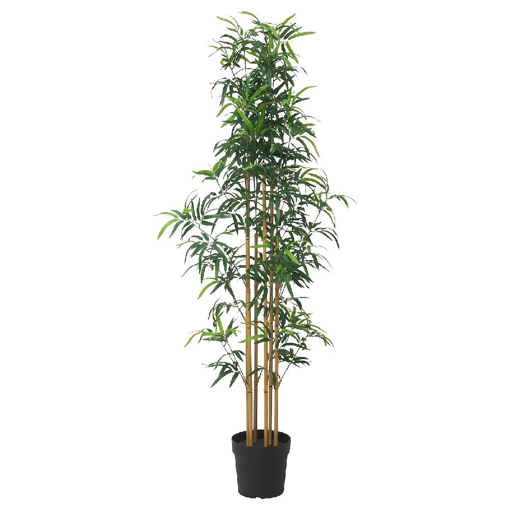 IKEA FEJKA Topfpflanze künstlich drinnen/draußen Bambus 23 cm