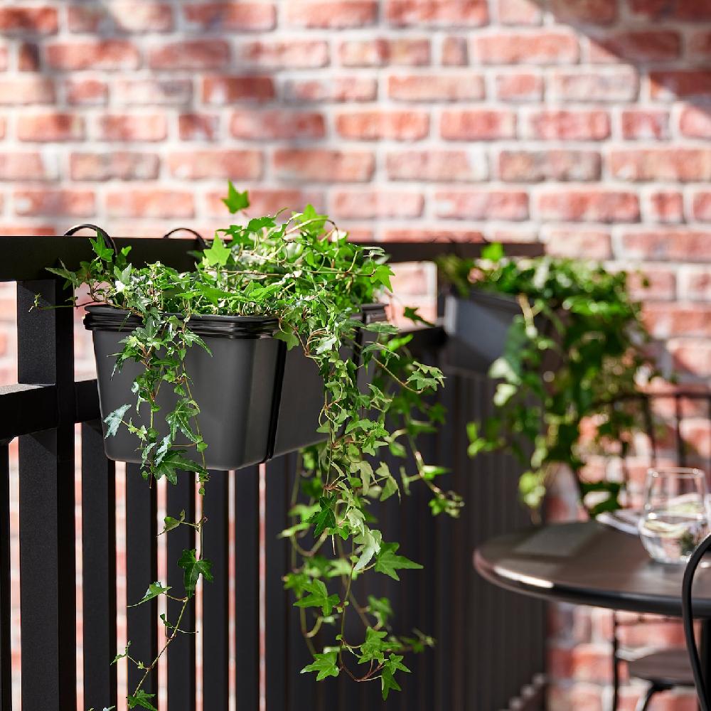 IKEA HEDERA HELIX Pflanze Efeu 13 cm Fabrik Onlineshop