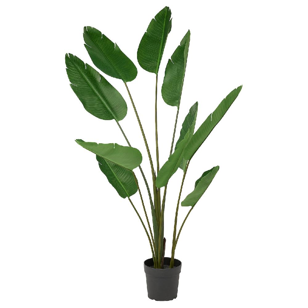 IKEA FEJKA Topfpflanze künstlich drinnen/draußen Strelitzie 23 cm