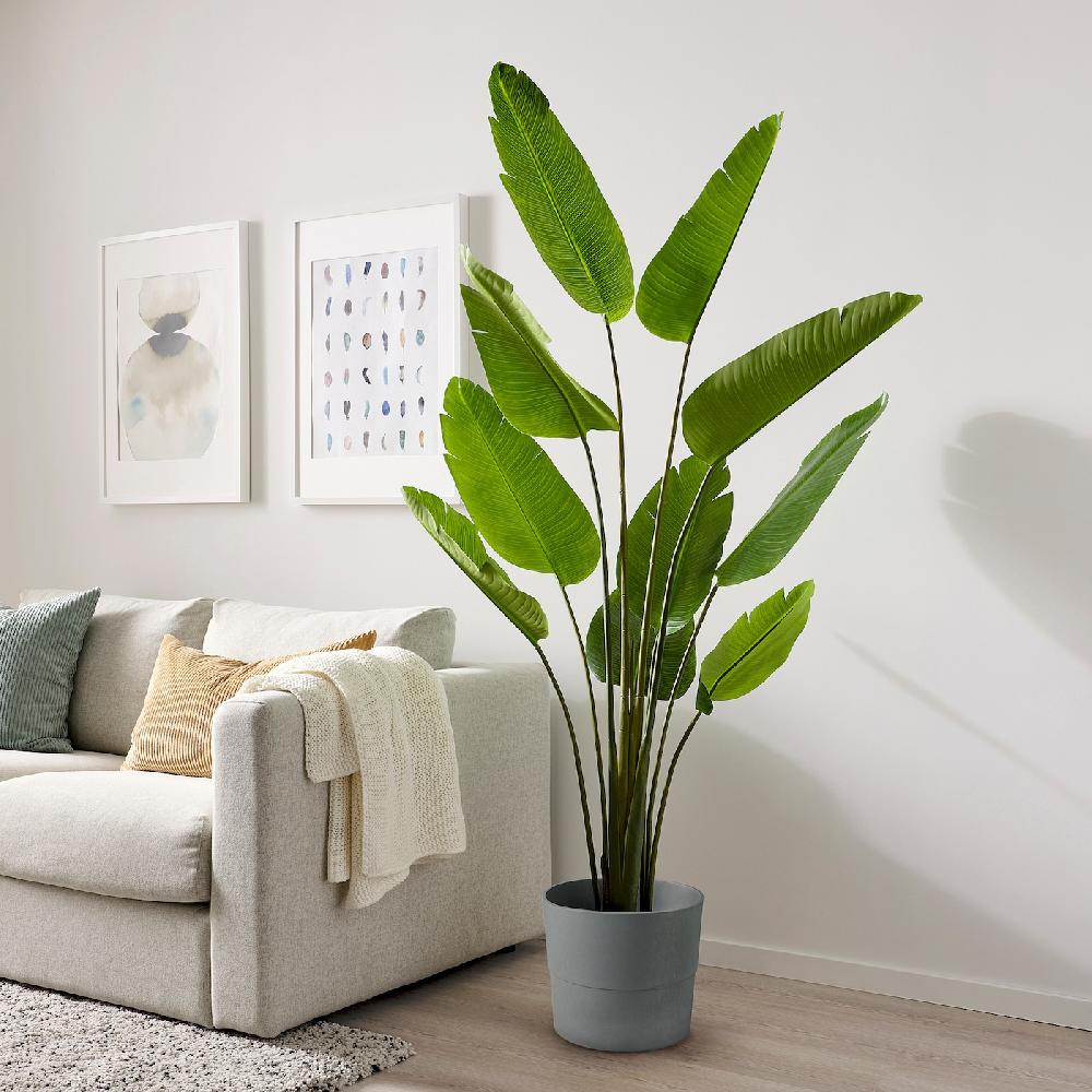 IKEA FEJKA Topfpflanze künstlich drinnen/draußen Strelitzie 23 cm Sonderangebot