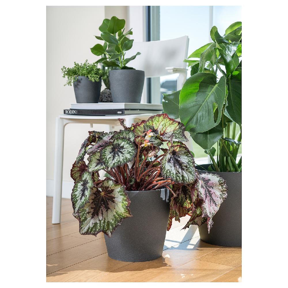 IKEA PERSILLADE Übertopf dunkelgrau 24 cm Rabatt