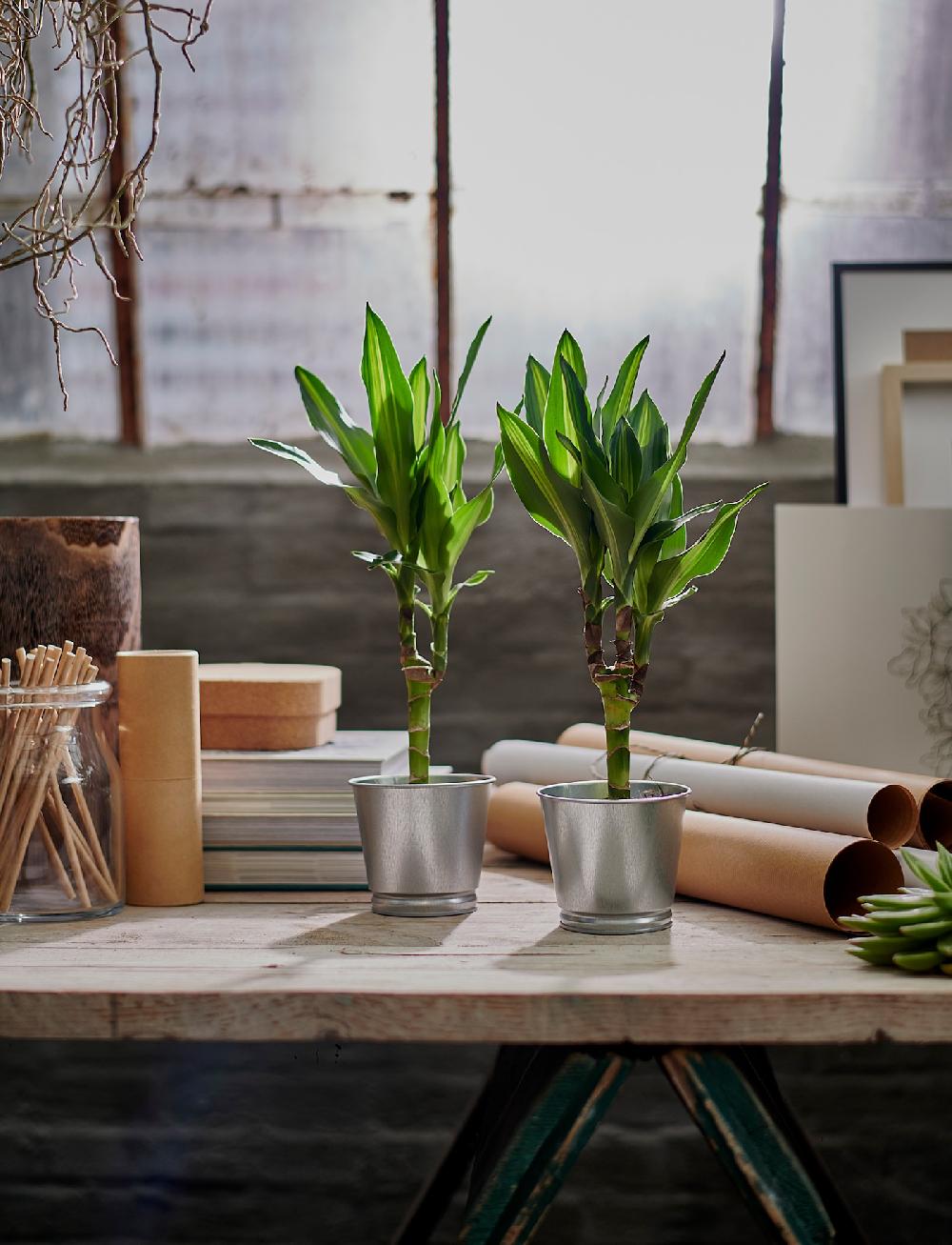 IKEA BINTJE Übertopf verzinkt 9 cm Großer Ausverkauf