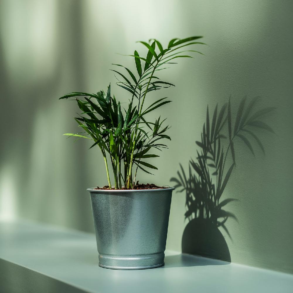 IKEA BINTJE Übertopf verzinkt 9 cm Großer Ausverkauf