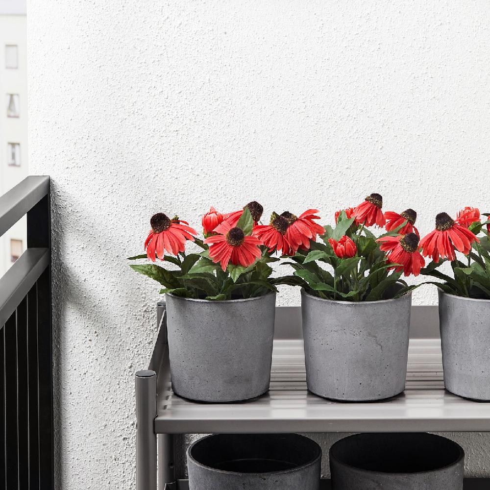 IKEA BOYSENBÄR Übertopf drinnen/draußen hellgrau 12 cm Flash Sale