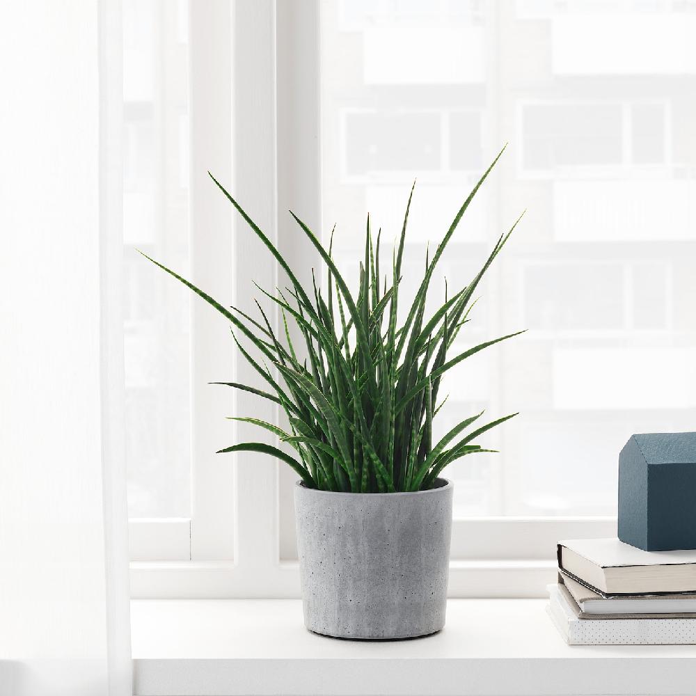 IKEA BOYSENBÄR Übertopf drinnen/draußen hellgrau 12 cm Flash Sale