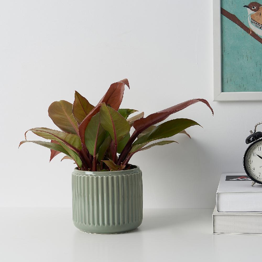 IKEA STILREN Übertopf dunkeltürkis 12 cm Online Shopping