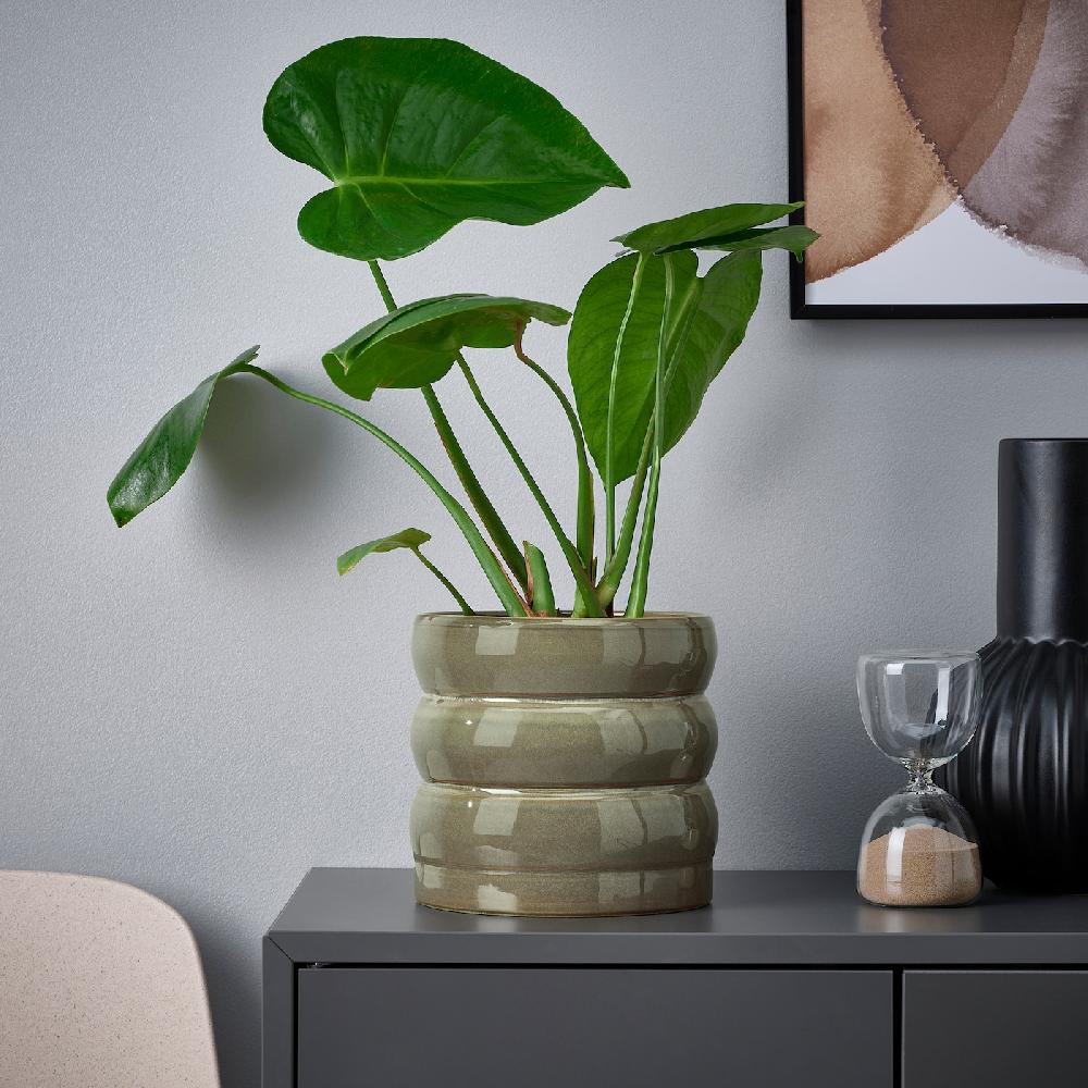 IKEA HASSELBUKETT Übertopf drinnen/draußen/grün/braun 15 cm Saisonschlussverkauf