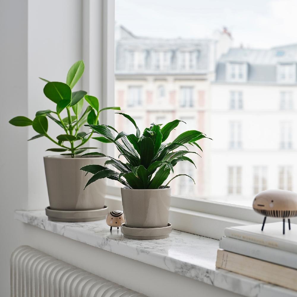 IKEA KLOTLÖNN Blumentopf mit Untersetzer drinnen/draußen/grau/beige 15 cm Osterangebot