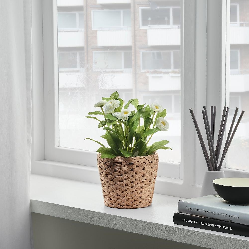 IKEA FRIDFULL Übertopf Wasserhyazinthe 12 cm Jubiläumsangebot
