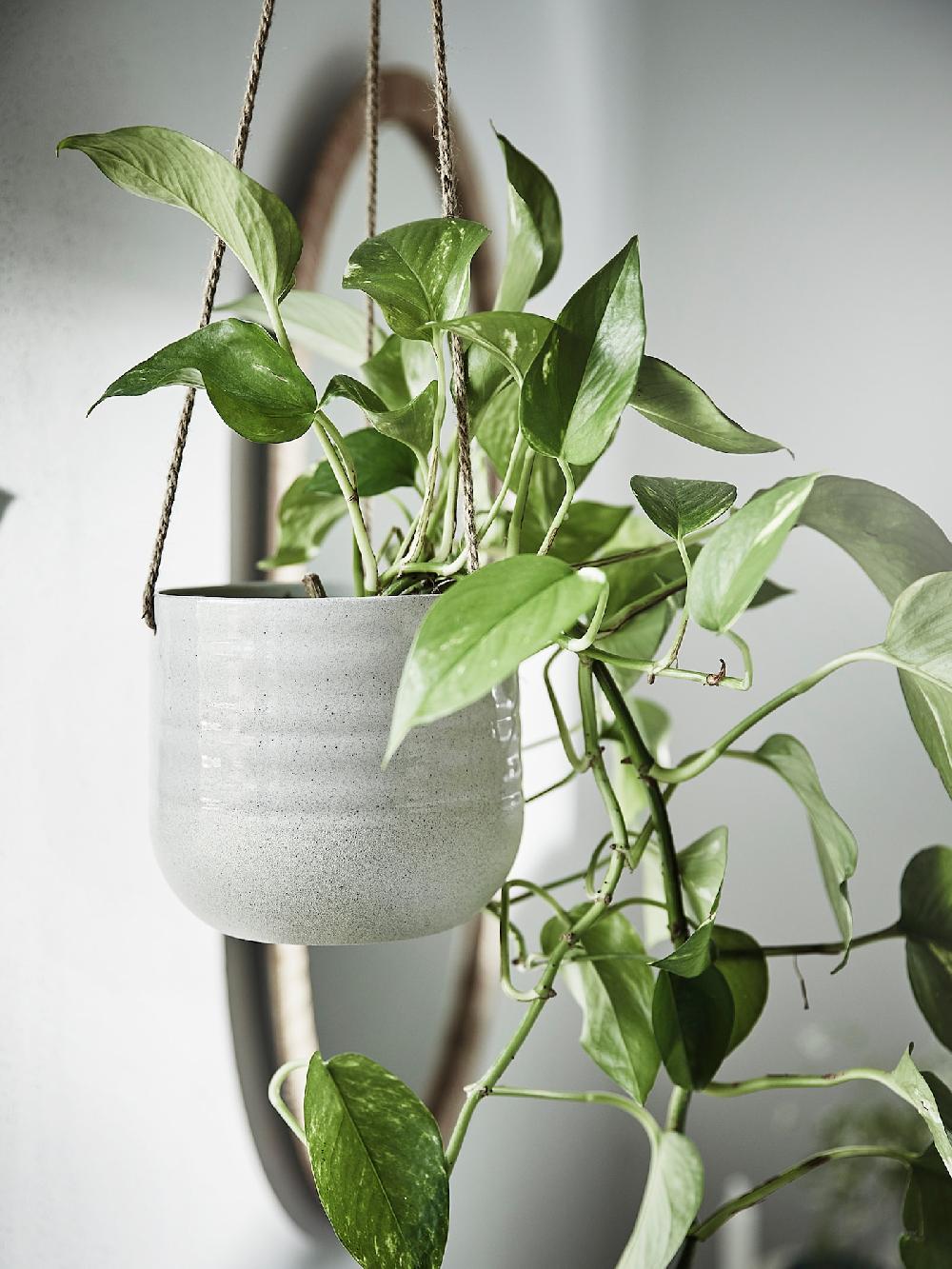 IKEA KAPKRUSBÄR Ampel hellgrau 12 cm Neueste Mode