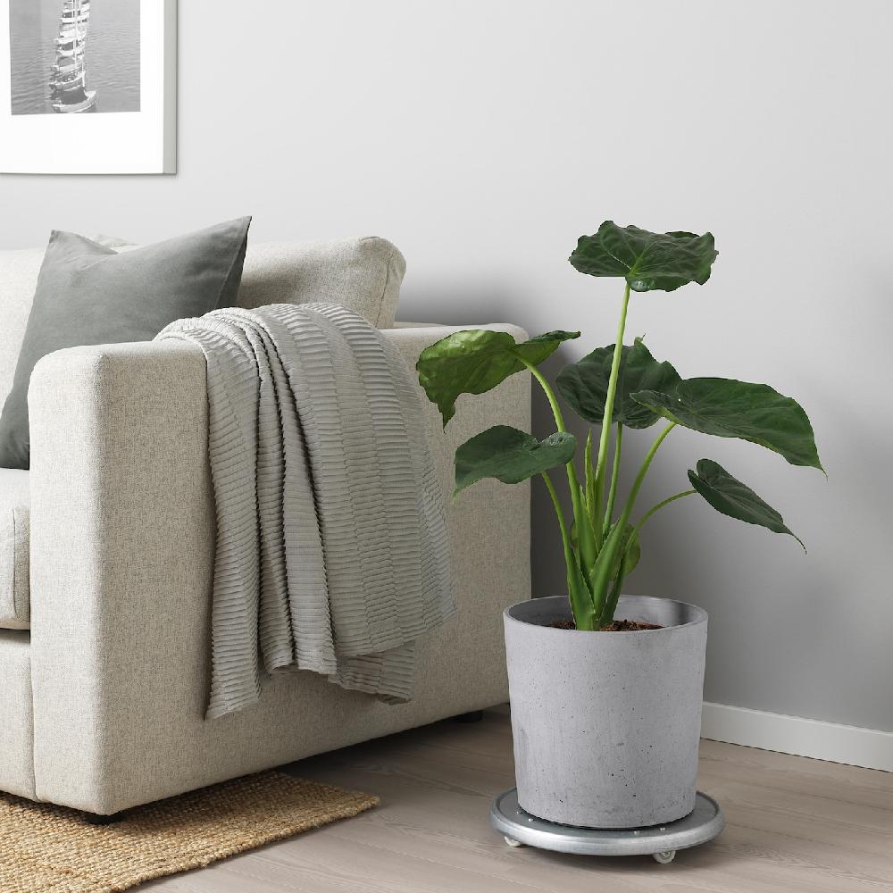 IKEA BOYSENBÄR Übertopf drinnen/draußen hellgrau 24 cm Zeitlich begrenztes Angebot