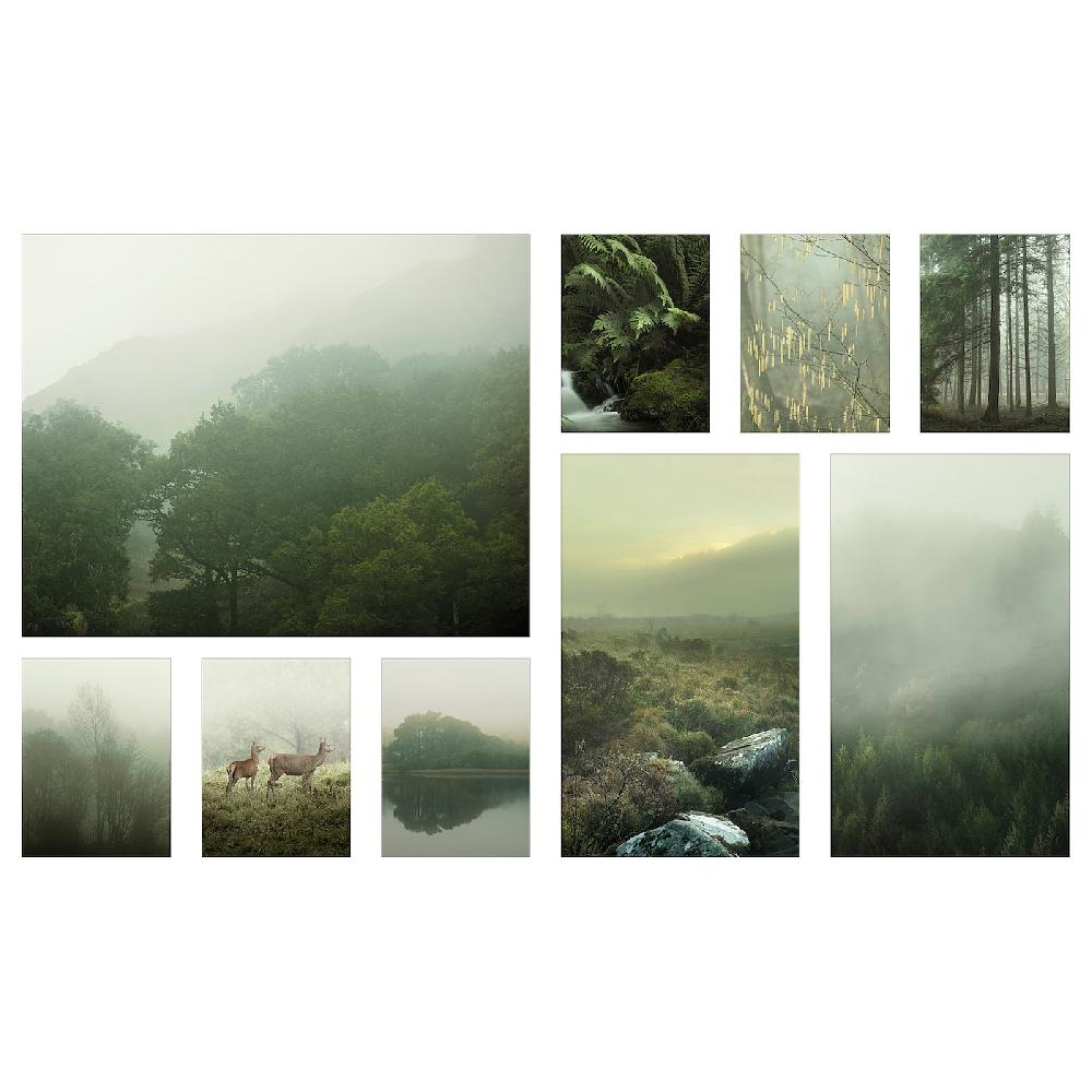 IKEA PJÄTTERYD Bild 9er-Set Nebel im Wald 179x112 cm Saisonale Angebote