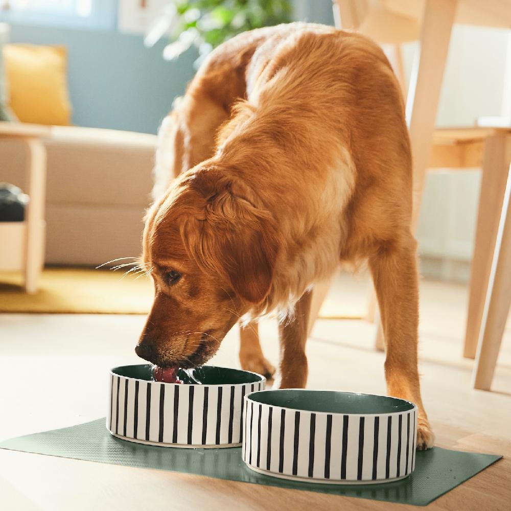 IKEA UTSÅDD Napf für Haustier Streifen schwarzblau/graugrün 19 cm Osterangebot