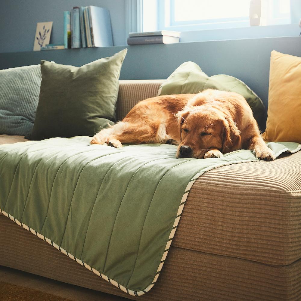 IKEA UTSÅDD Decke für Haustier grün 100x150 cm Valentinstagsangebot