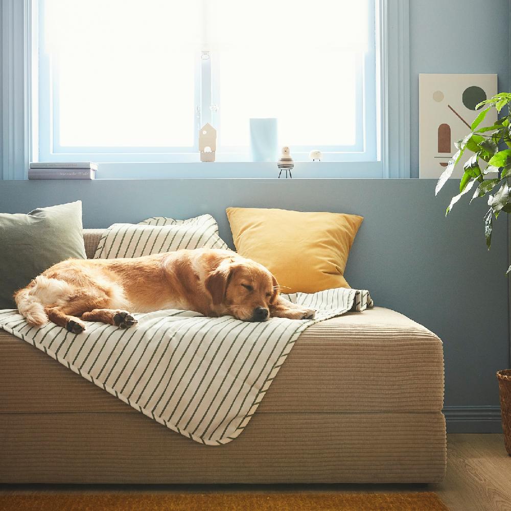 IKEA UTSÅDD Decke für Haustier grün 100x150 cm Valentinstagsangebot