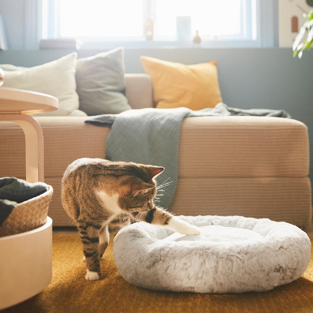IKEA UTSÅDD Tierbett hellgrau S Jubiläumsangebot