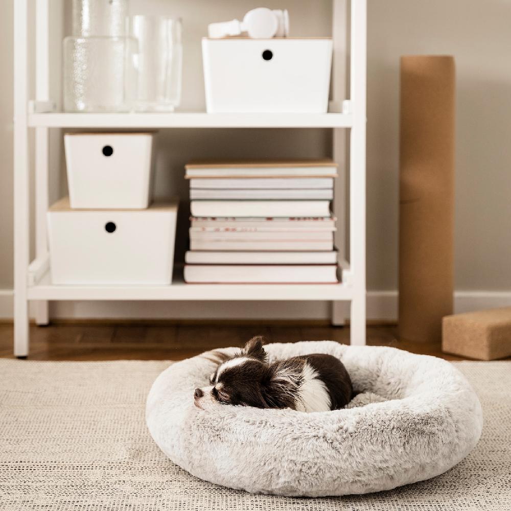IKEA UTSÅDD Tierbett hellgrau S Jubiläumsangebot