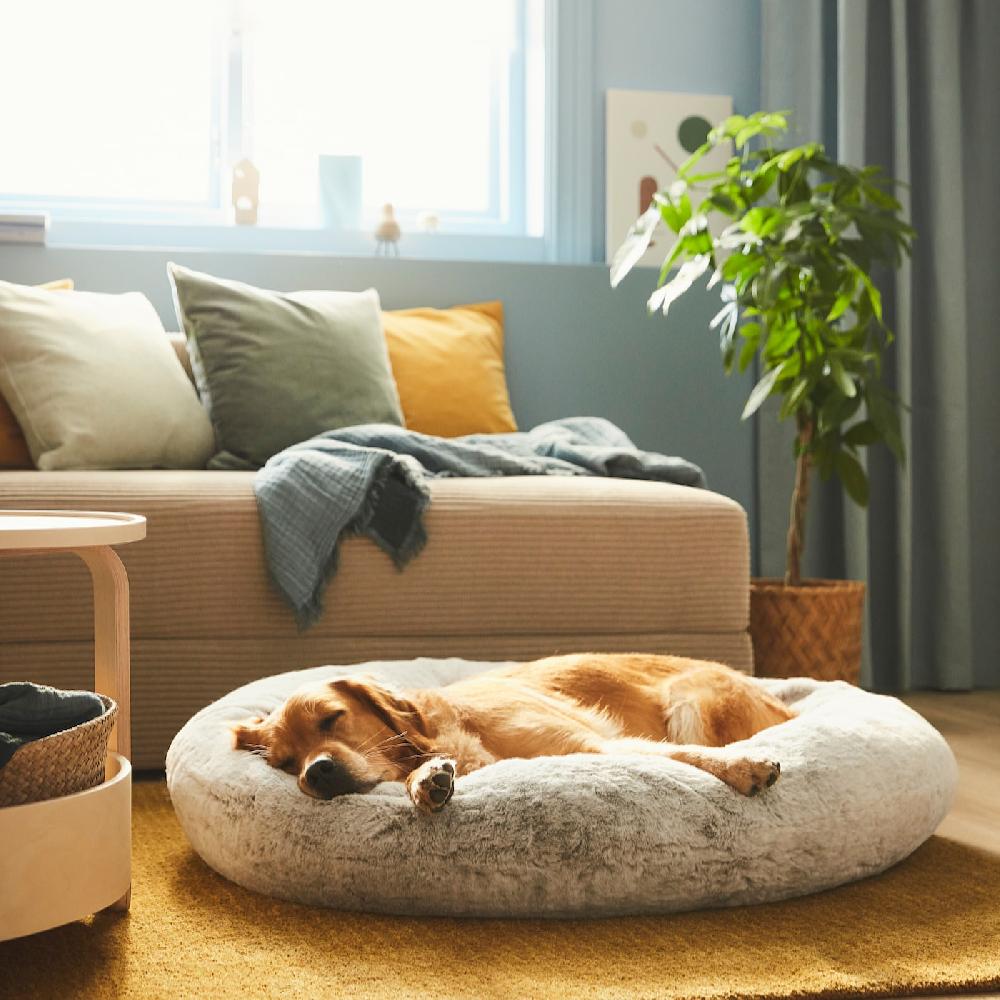 IKEA UTSÅDD Tierbett hellgrau L Top Angebot