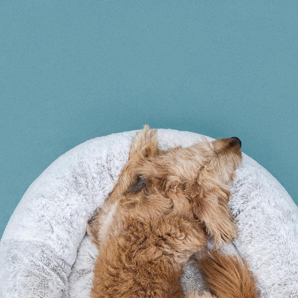 IKEA UTSÅDD Tierbett hellgrau L Top Angebot