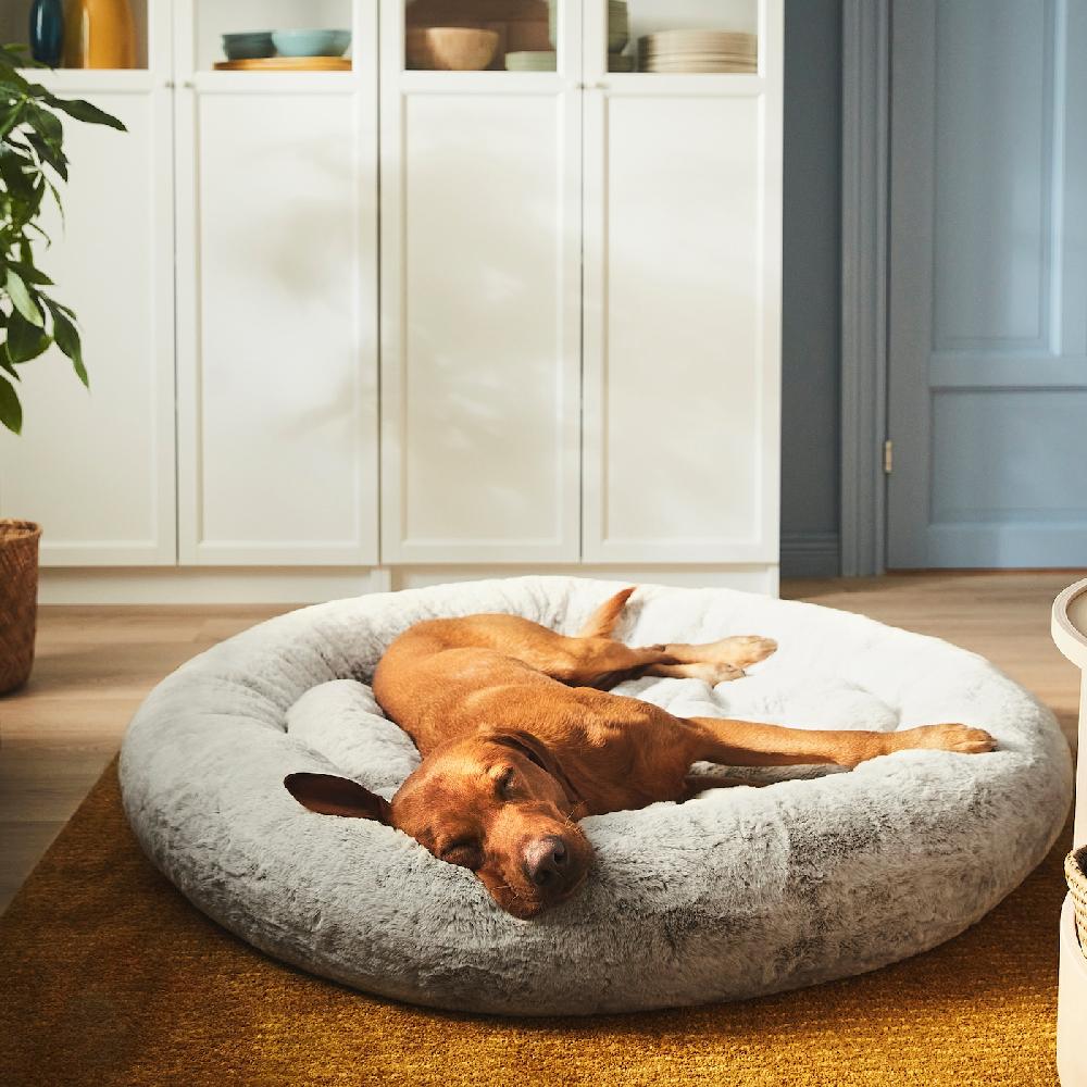 IKEA UTSÅDD Tierbett hellgrau XL Neueste Mode