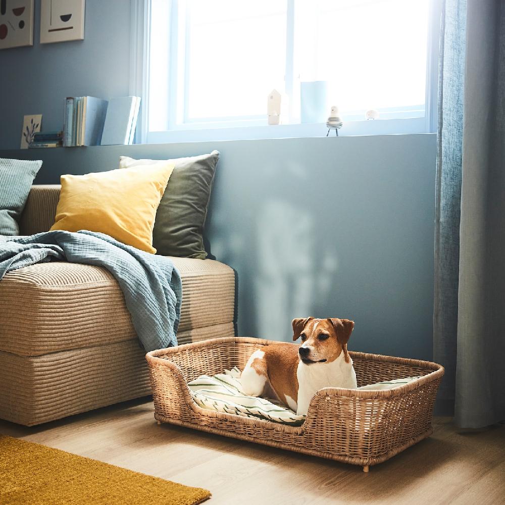 IKEA UTSÅDD Hundebett Rattan 80x50x20 cm Neuheiten