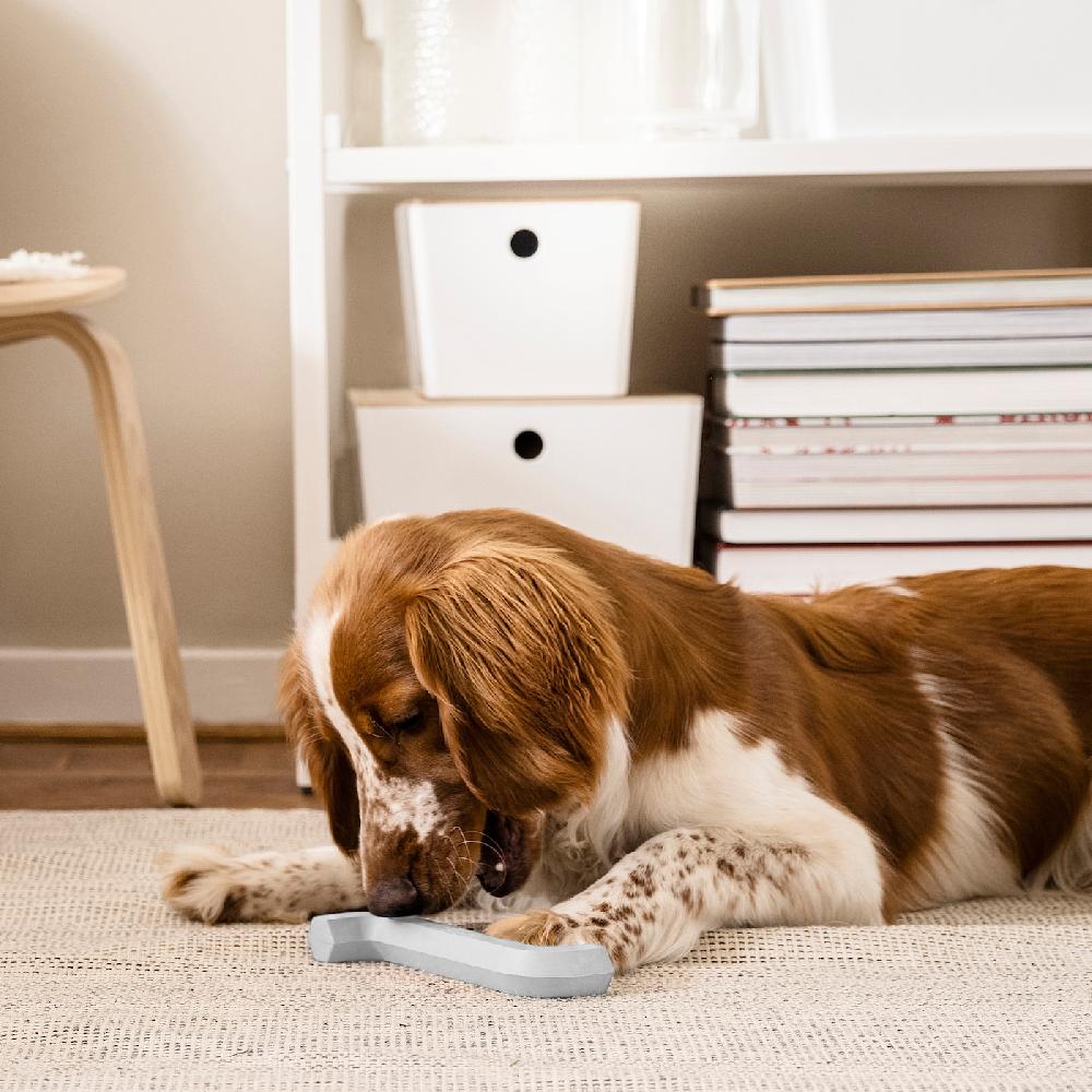 IKEA UTSÅDD Hundespielzeug graublau Bestseller