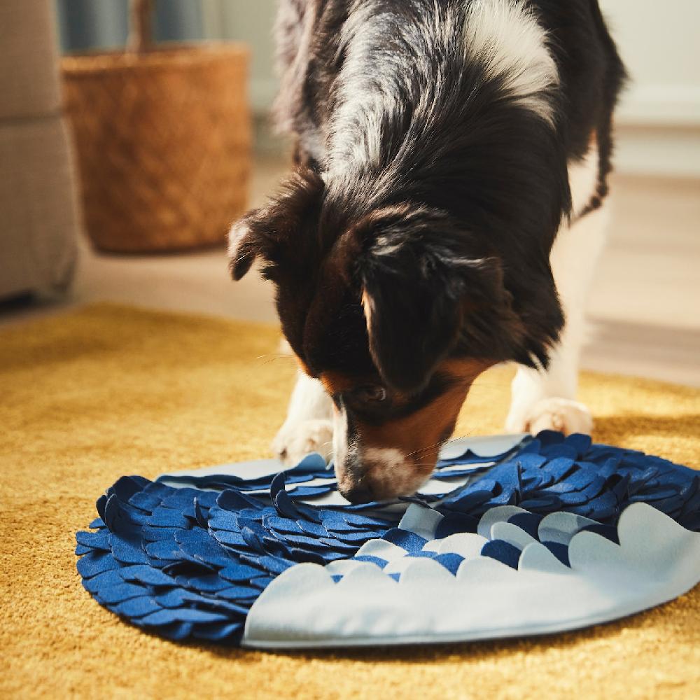 IKEA UTSÅDD Schnüffelmatte für Hunde blau Saisonale Angebote
