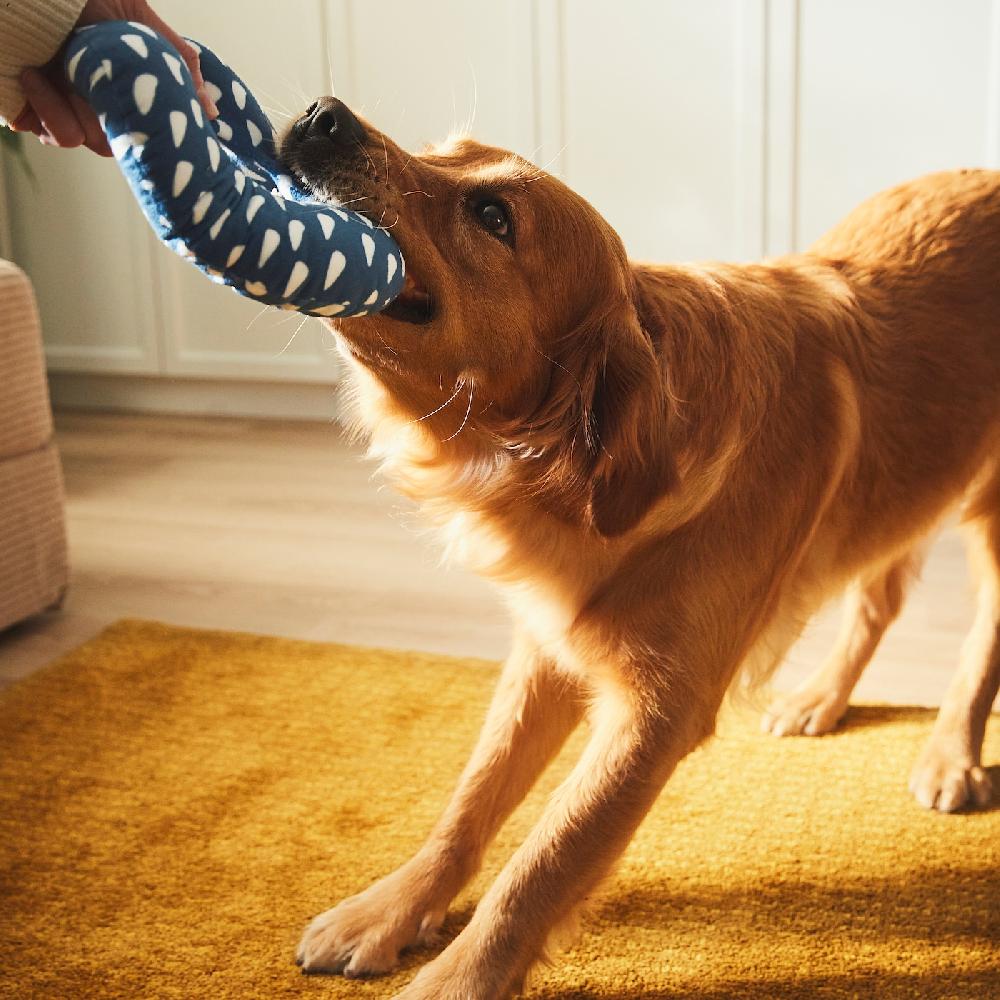 IKEA UTSÅDD Stoffspielzeug für Hunde blau Tägliche Deals