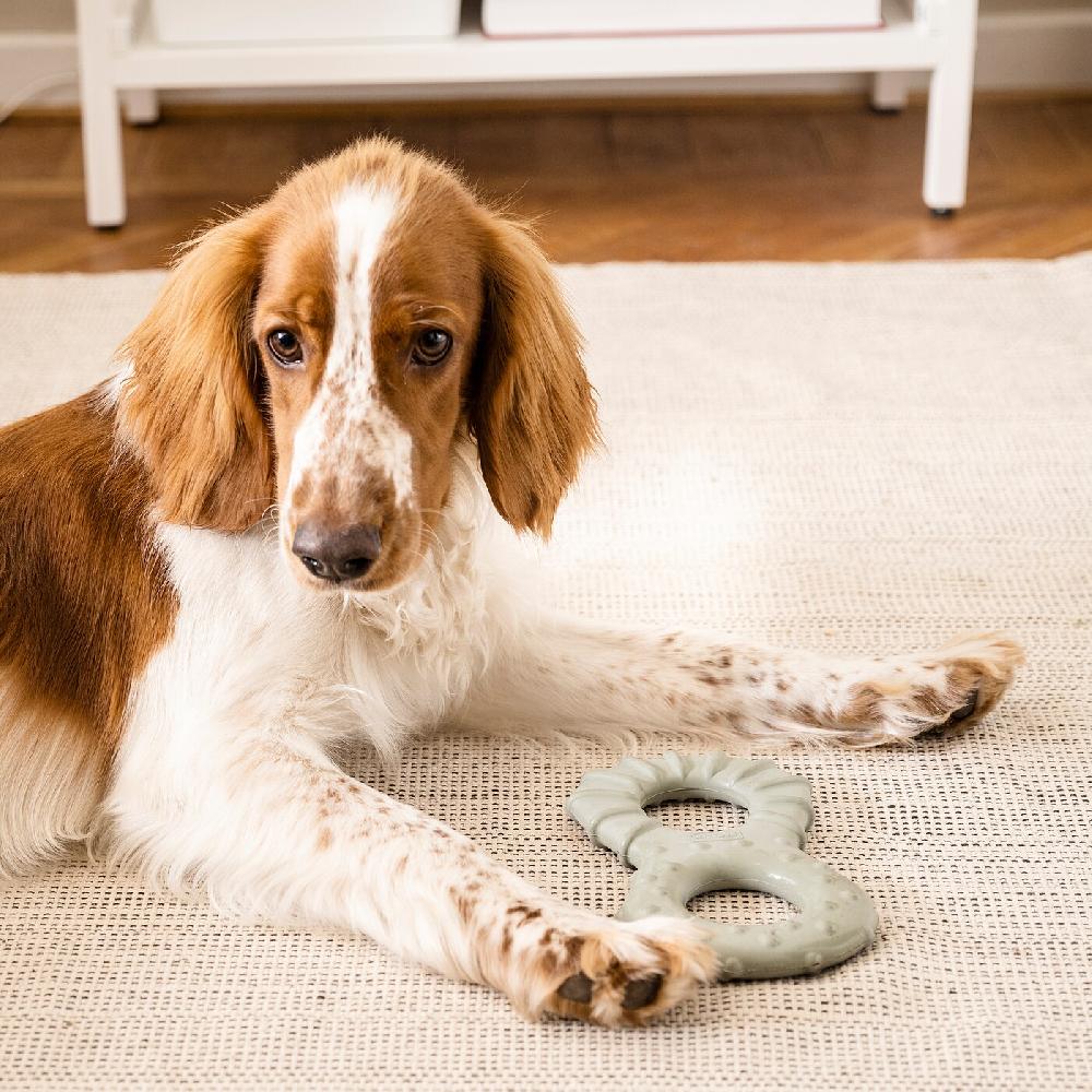 IKEA UTSÅDD Hundespielzeug Leckereienversteck/graugrün Sonderangebote