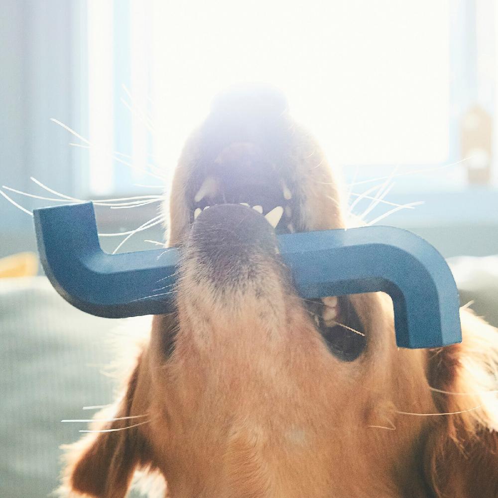 IKEA UTSÅDD Hundespielzeug dunkelblau Riesige Ersparnisse
