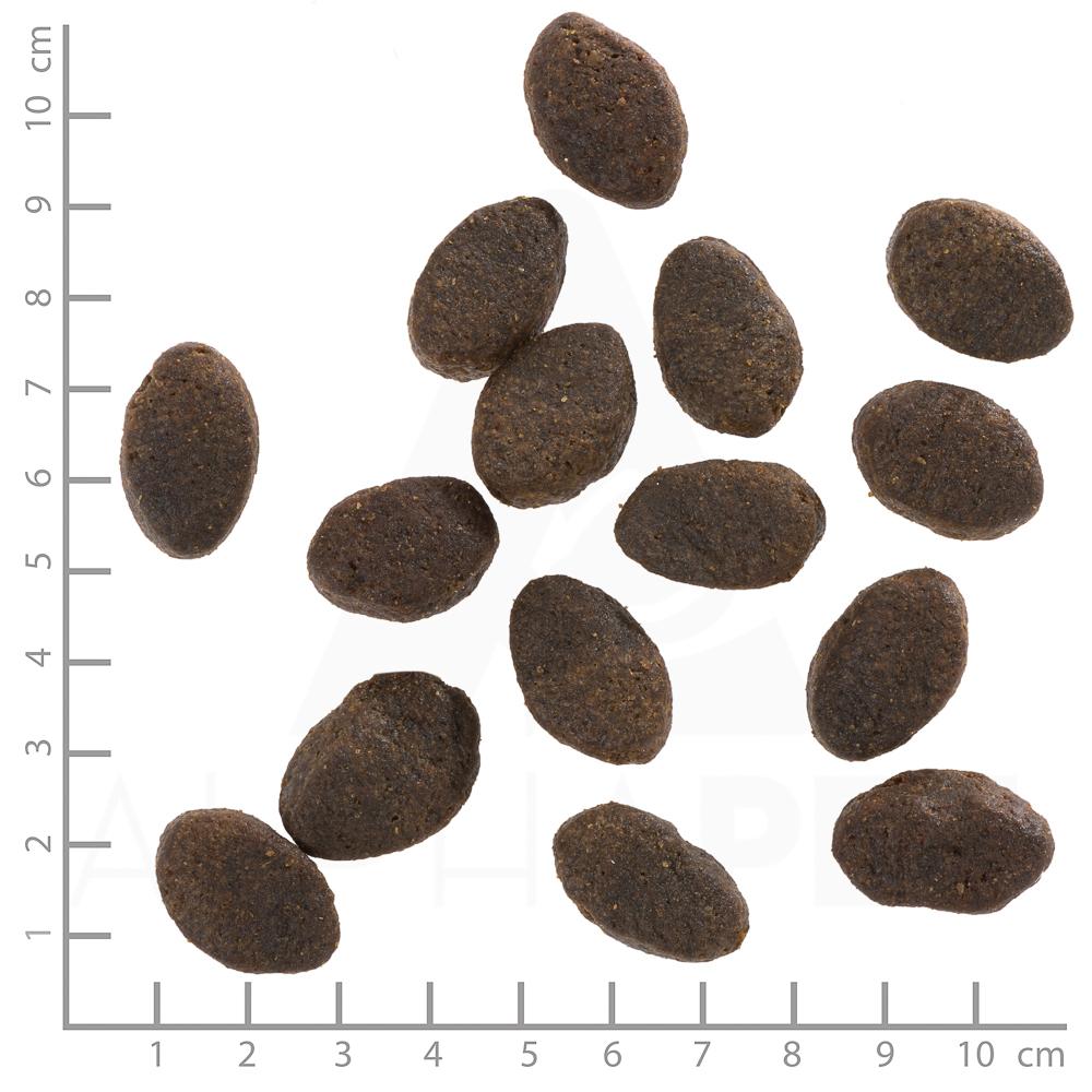 petspremium Wolfsblut Wild Pacific - Seefisch und Kartoffel Adult Trockenfutter 2 x 12 5 kg 50% Rabatt mit kostenlosem Versand