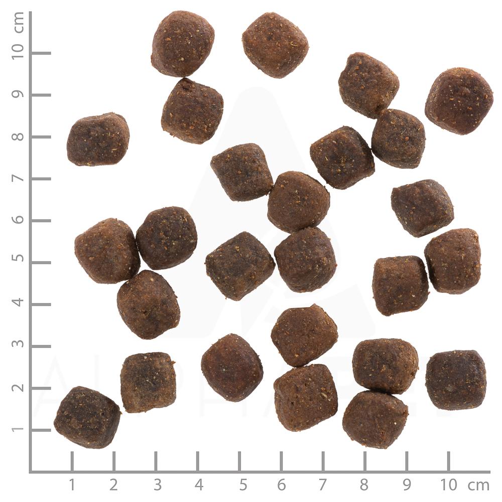 petspremium Wolfsblut Deep Glade - Rothirsch und Wasserbüffel Adult Trockenfutter 2 x 12 5 kg Begrenzt auf 3 Tage
