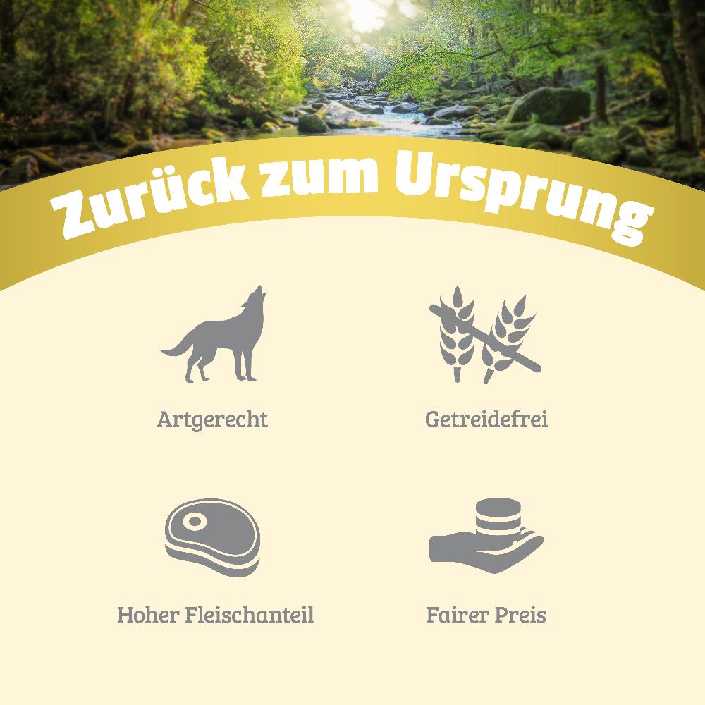 petspremium Natural Pferd mit Pastinake Karotte und Leinöl Nassfutter 24 x 800 g Fabrik Onlineshop