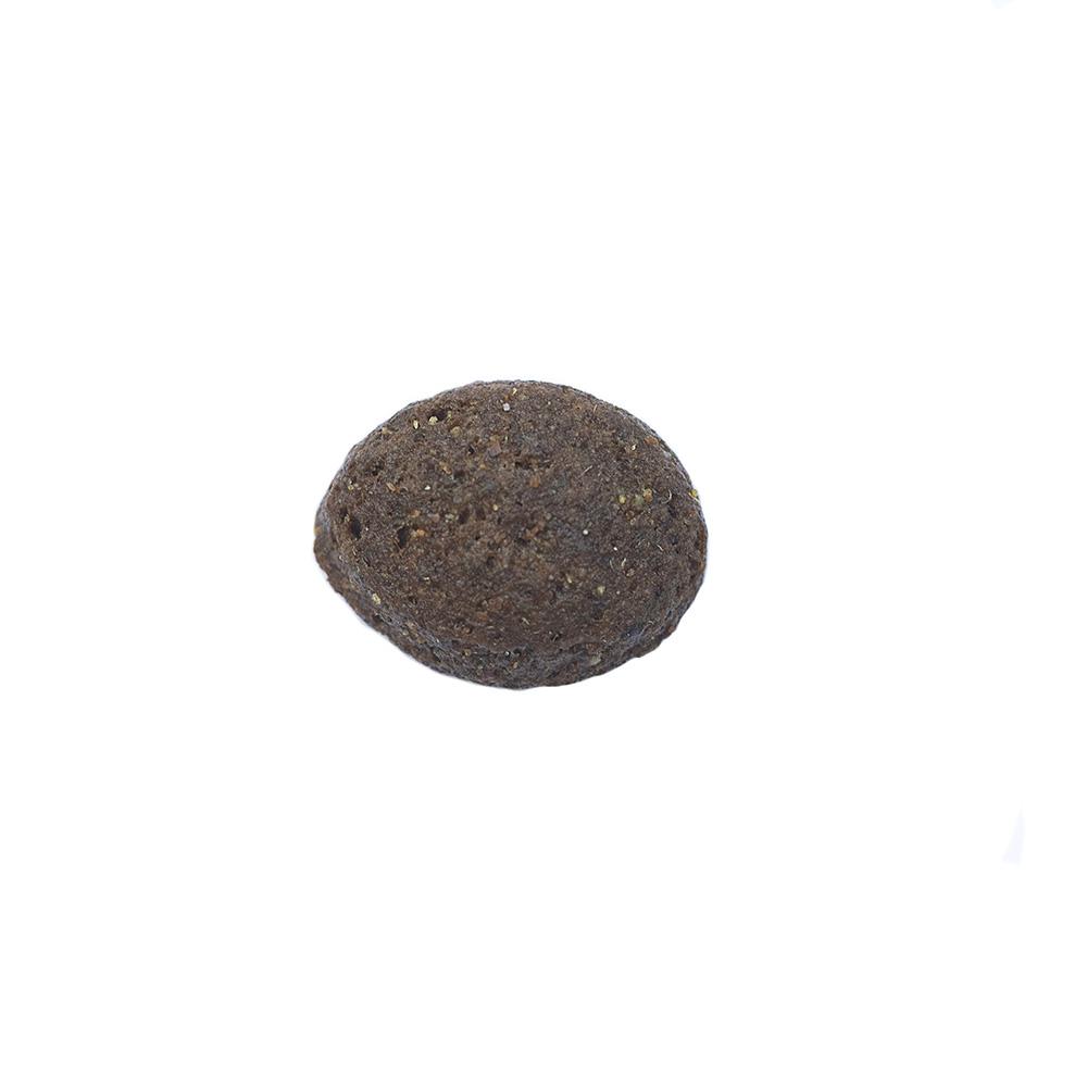 petspremium Arden Grange Adult Ente & Superfoods Grainfree Trockenfutter 2 x 12 kg Flash Sale
