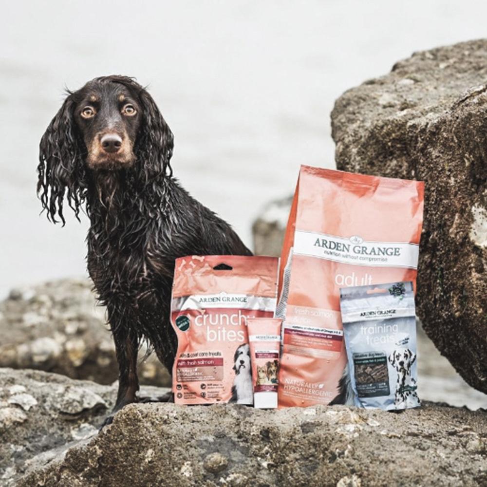 petspremium Arden Grange Adult mit frischem Lachs & Reis Trockenfutter 2 x 12 kg Preisnachlass