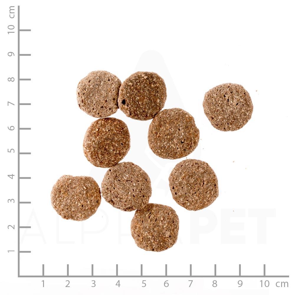 petspremium Natural Wild Woods Trockenfutter 30 kg Muttertagsangebot
