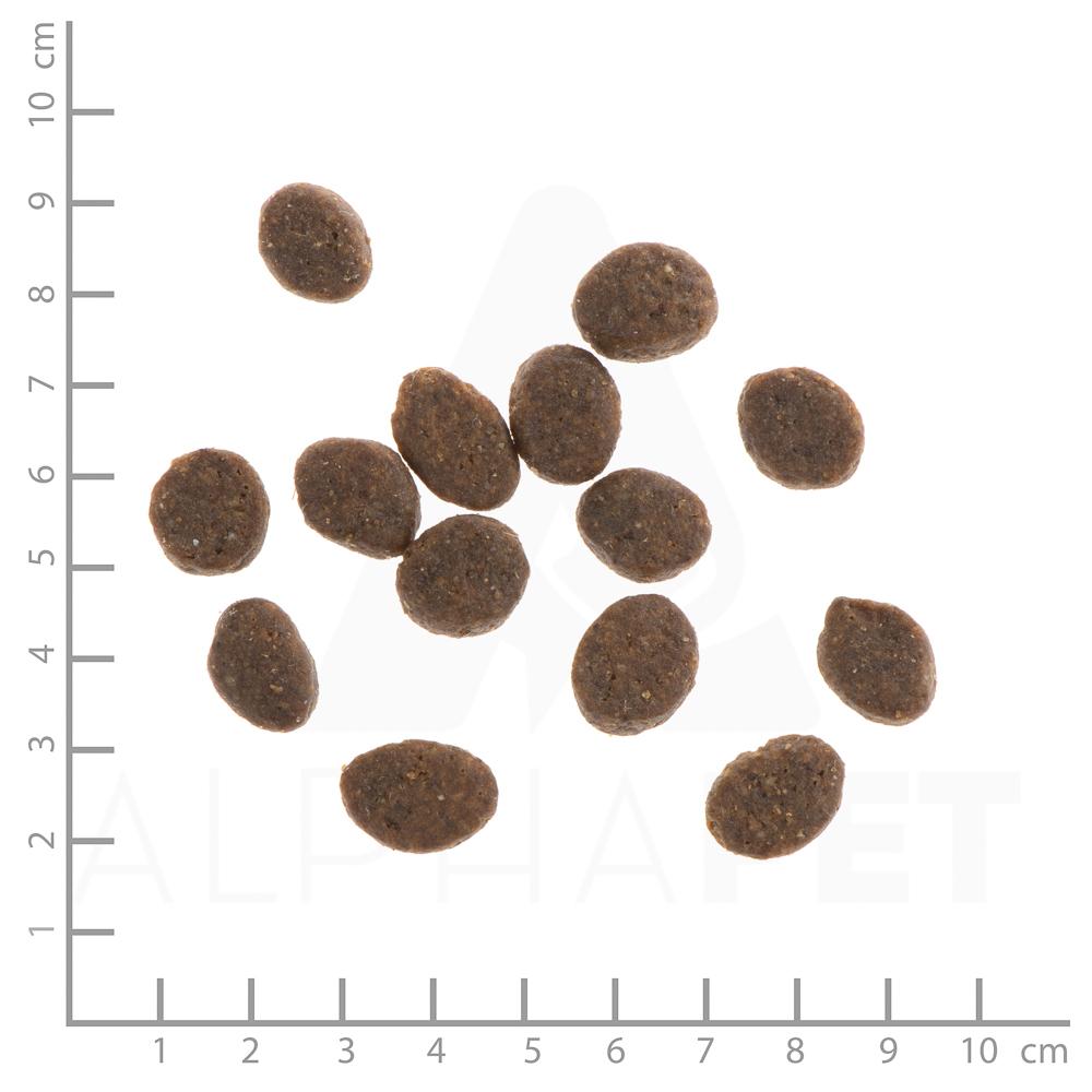 petspremium Wildes Land Lamm mit Reis und Wildkräutern Classic Adult Trockenfutter 12 kg Lagerräumung