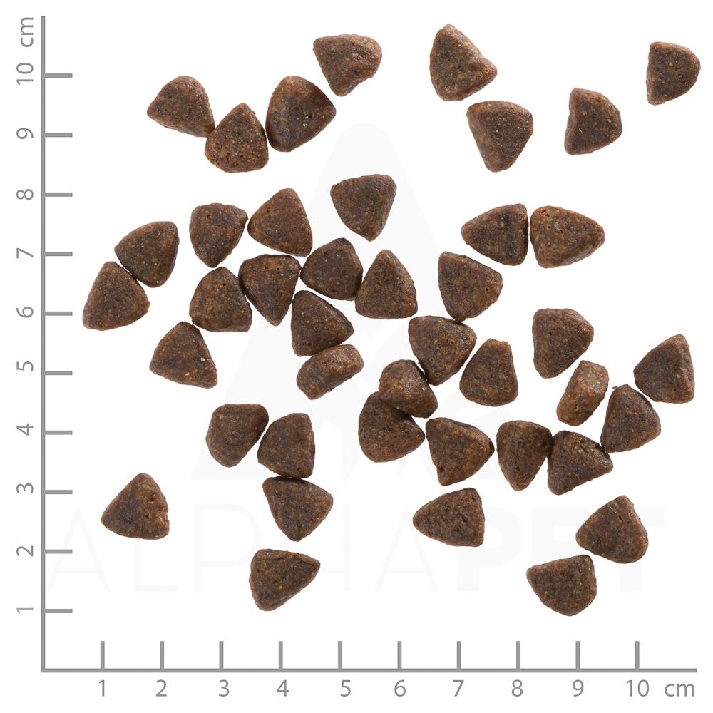 petspremium Wolfsblut Wide Plain - Pferdefleisch und Süßkartoffel Puppy Trockenfutter 2 x 12 5 kg Online Outlet