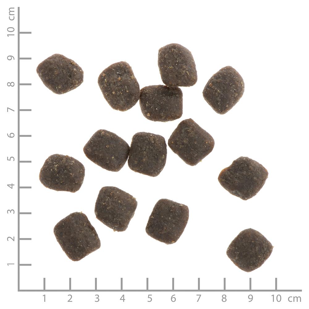 petspremium Wildes Land Rind mit Reis und Wildkräutern Soft Adult Trockenfutter 30 kg Zeitlich begrenztes Angebot