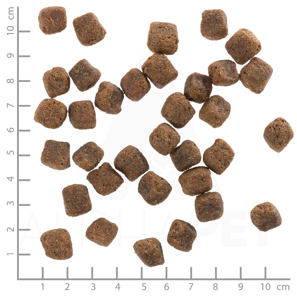 petspremium Wolfsblut Black Bird - Truthahn und Süßkartoffel Adult Trockenfutter 2 x 12 5 kg Neueste Stile