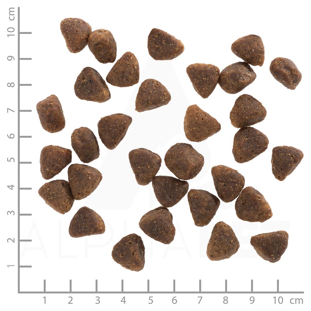 petspremium Wolfsblut Hunters Pride - Fasan Ente und Kaninchen Adult Trockenfutter 12 5 kg Vierteljährliche Förderung