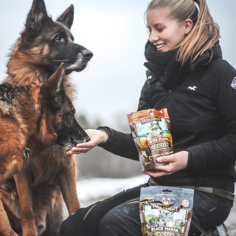 petspremium Wolfsblut Wide Plain - Pferdefleisch & Süßkartoffel Cracker Snack 6 x 225 g Nur noch ein Tag übrig