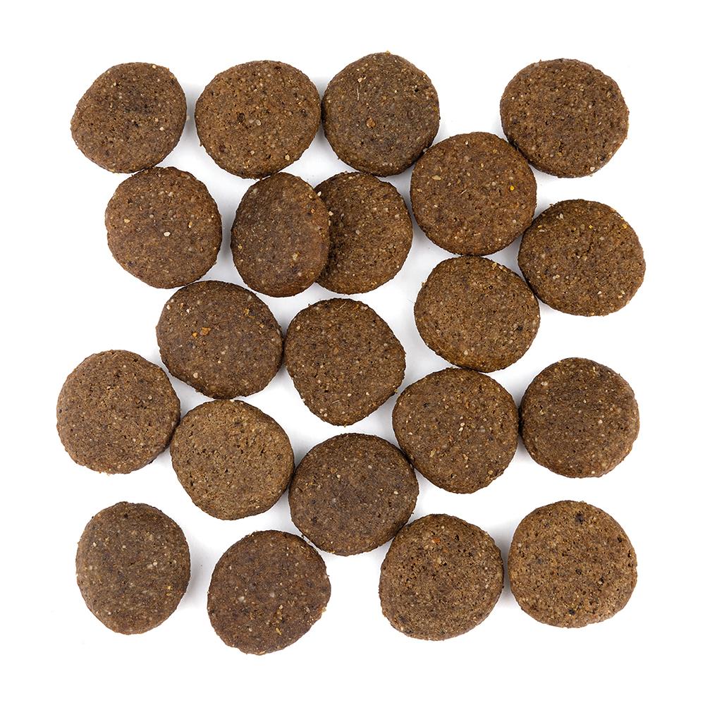 petspremium Wolfsblut Range Lamb - Lamm und Vollkornreis Large Breed Trockenfutter 12 5 kg Riesige Rabatte