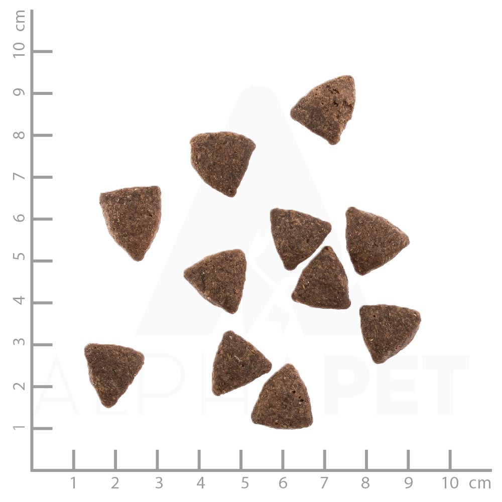 petspremium daily choice Lachs mit Kartoffeln und Erbsen Grainfree Trockenfutter 2 x 15 kg zollfrei